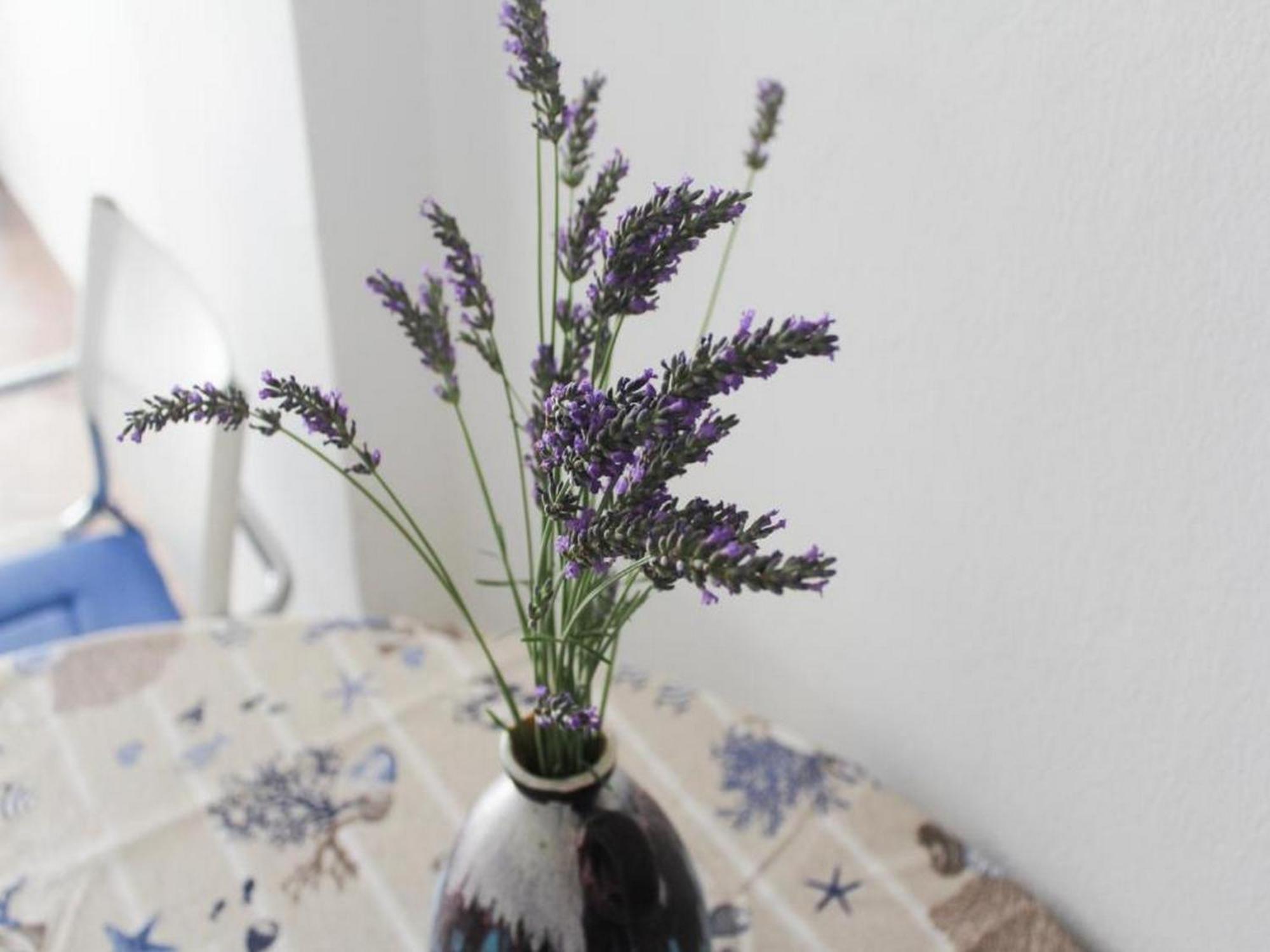 Apartmani Lucia Biograd Biograd Na Moru Ruang foto